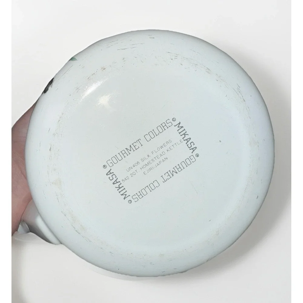 Mikasa minor signs
